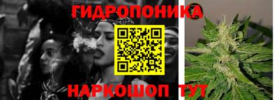 скорость Бийск