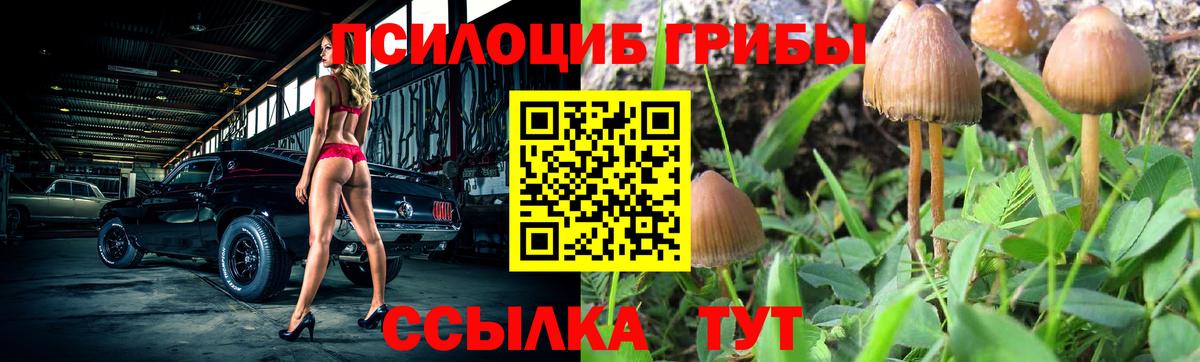 Галлюциногенные грибы Psilocybine cubensis  Вход с VPN  где купить наркоту  Большой Камень 